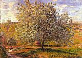 Claude Monet Tree in Flower near Vetheuil painting